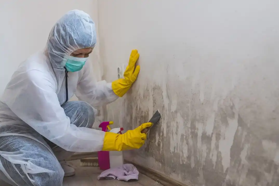 water damage restoration service Oakley